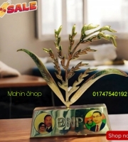 Dhaner Shish original pitol