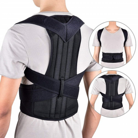 Back Brace Belt